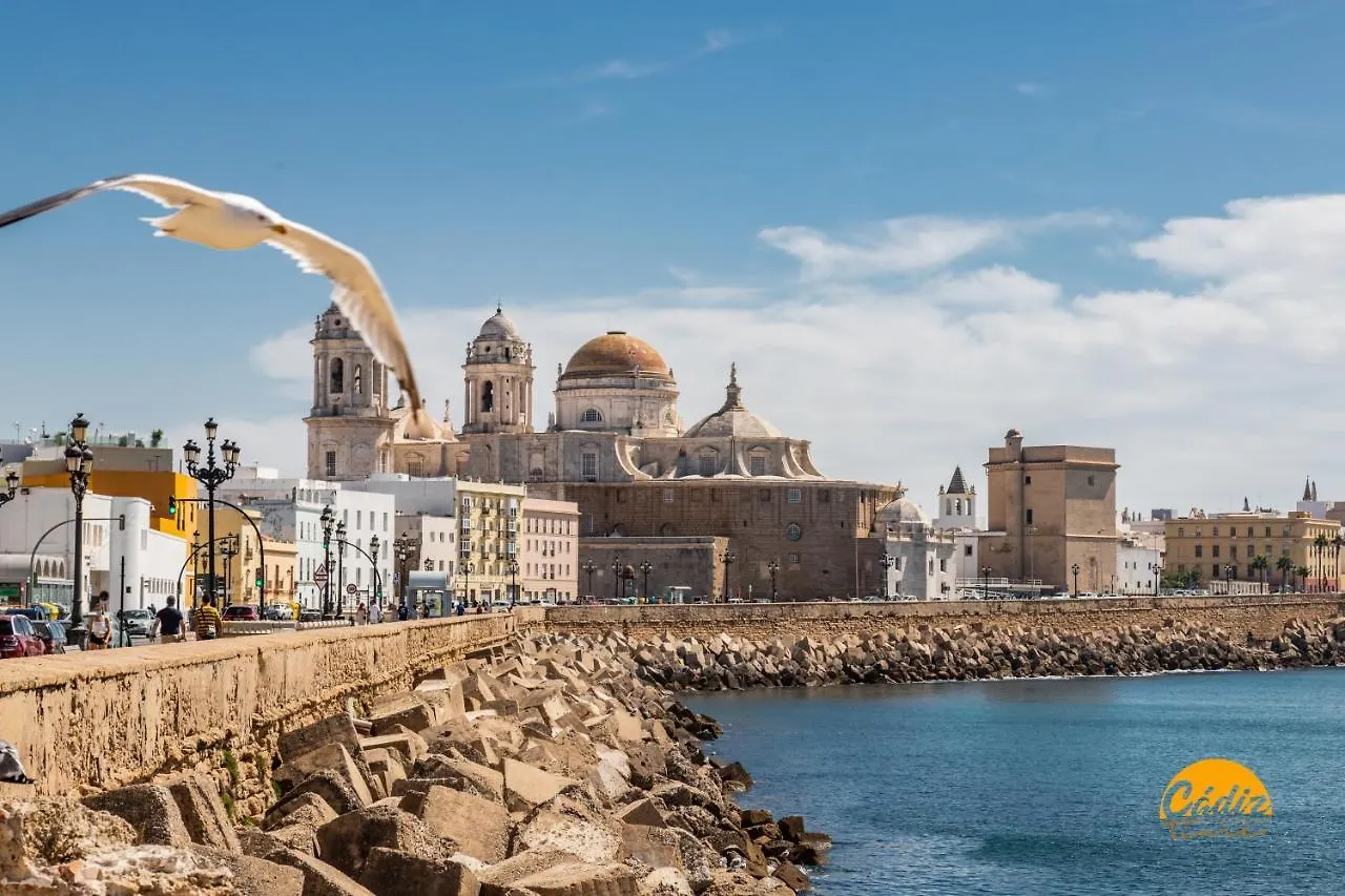 Apartamento Colón - WIFI - PETFRIENDLY - ECOFRIENDLY Cádiz España